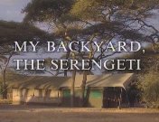 Bestand:My backyard the Serengeti.jpeg
