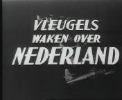 Vleugels waken over Nederland titel.jpg