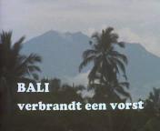 Bestand:Bali verbrandt een vorst titel.jpg