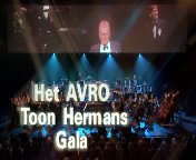 Bestand:AVRO Toon Hermans Gala (2006).jpg
