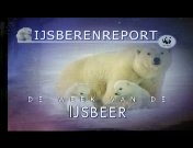 Bestand:IJsberenreporttitel.jpg