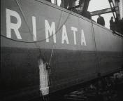Bestand:De Karimata graaft naar het goud der Lutine (1938).jpg