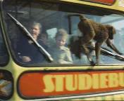 Bestand:In een safari-bus door de Beekse Bergen.jpeg
