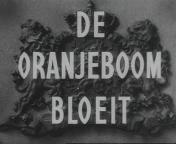 Bestand:De oranjeboom bloeit (1943) titel.jpg