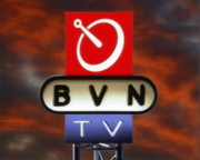 Bestand:BVN-logo.PNG