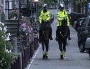Politie te paard (2010).jpg