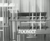 Rooster (1960-1966) titel.jpg