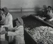 Bestand:Een bezoek bij de chocolade-en suikerwerkfabriek Bonera.jpg