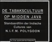 Bestand:De tabakscultuur op midden java (1927) titel.jpg