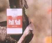 Pall Mall All you need is love 2.jpg