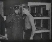 Bestand:Germaanse vrijwilligers in de Waffen-SS.jpg
