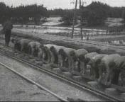 Spoorwerkers aan de slag met de dwarsliggers