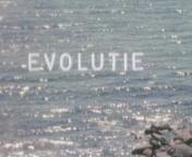 Bestand:Evolutie titel.jpg