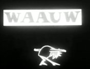 Waauw (1964-1972) titel.jpg