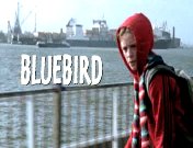 Bestand:Bluebird (2004) titel.jpg