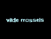 Bestand:Wilde mossels (2000) titel.jpg