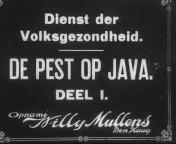 Bestand:De pest op java (1924) titel.jpg