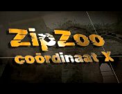 ZipZoo Coordinaat X titel.jpg