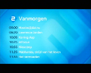 Bestand:Nederland 2 programmaoverzicht 2010.png