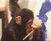 Bestand:Onderzoek naar schilderkunst apen.jpeg