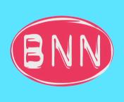 Bestand:BNN logo (2006)1.jpg