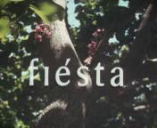 Bestand:Fiesta amateurfilm titel.jpg