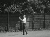 Bestand:Tennissenderoos1.jpg