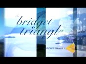 Bestand:The Bridget triangle (2004-2005) titel.jpg