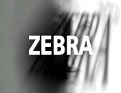 Bestand:Zebra titel.jpg