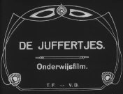 Bestand:De Juffertjes (1919) titel.jpg