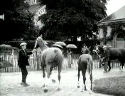 Bestand:De opening van de landbouwtentoonstelling Frankrijk (1935)2.jpg