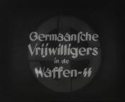 Bestand:Germaanse vrijwilligers in de Waffen-SS titel.jpg