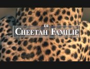 Bestand:Cheetahfamily.jpg