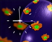 Bestand:TV2 klok (2000).png