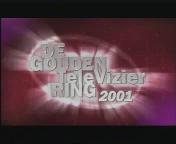 Bestand:Gouden televizier (2001).jpg