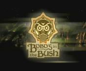 Bobo's in the bush (2003-2005) titel.jpg