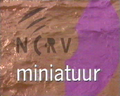 Miniatuurafbeelding voor de versie van 28 mrt 2009 16:41